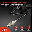 APOS1676 Downstream O2 Oxygen Sensor