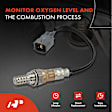 APOS1686 Downstream Right O2 Oxygen Sensor