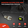 APOS1693 4 Pcs Upstream & Downstream O2 Oxygen Sensor