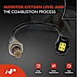 APOS1694 4 Pcs Upstream & Downstream O2 Oxygen Sensor