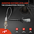 APOS1696 4 Pcs Upstream & Downstream O2 Oxygen Sensor