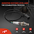 APOS1699 2 Pcs Upstream & Downstream O2 Oxygen Sensor