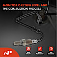 APOS1706 2 Pcs Upstream & Downstream O2 Oxygen Sensor