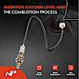 APOS1710 4 Pcs Upstream & Downstream O2 Oxygen Sensor
