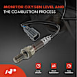 APOS1713 4 Pcs Upstream & Downstream O2 Oxygen Sensor
