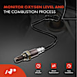 APOS1716 2 Pcs Upstream & Downstream O2 Oxygen Sensor