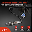 APOS1722 2 Pcs Downstream Left & Right O2 Oxygen Sensor