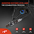 APOS1724 4 Pcs Upstream & Downstream O2 Oxygen Sensor