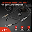APOS1729 4 Pcs Upstream & Downstream O2 Oxygen Sensor