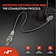 APOS1731 2 Pcs Upstream & Downstream O2 Oxygen Sensor
