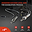 APOS1734 2 Pcs Upstream & Downstream O2 Oxygen Sensor