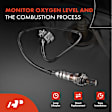 APOS1735 2 Pcs Upstream & Downstream O2 Oxygen Sensor