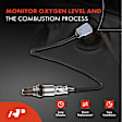 APOS1742 2 Pcs Upstream & Downstream O2 Oxygen Sensor