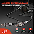 APOS1743 2 Pcs O2 Oxygen Sensor