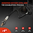 APOS1745 2 Pcs O2 Oxygen Sensor
