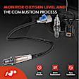 APOS1748 2 Pcs Upstream & Downstream O2 Oxygen Sensor