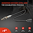 APOS1751 4 Pcs Upstream & Downstream O2 Oxygen Sensor