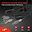 APOS1760 2 Pcs Upstream & Downstream O2 Oxygen Sensor