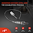 APOS1761 2 Pcs Upstream & Downstream O2 Oxygen Sensor