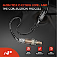 APOS1762 2 Pcs Upstream & Downstream O2 Oxygen Sensor