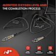 APOS1763 2 Pcs Upstream Left & Right O2 Oxygen Sensor