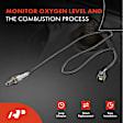 2-Pc Oxygen Sensor, Downstream Driver & Passenger, A-Premium APOS1765
