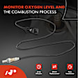 APOS1766 2 Pcs Downstream Left & Right O2 Oxygen Sensor