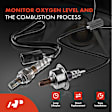 APOS1777 2 Pcs Upstream & Downstream O2 Oxygen Sensor