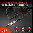 APOS1781 3 Pcs Upstream & Downstream & Center O2 Oxygen Sensor