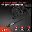 APOS1782 2 Pcs Upstream & Downstream O2 Oxygen Sensor