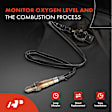 APOS1783 4 Pcs Upstream & Downstream O2 Oxygen Sensor