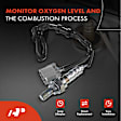 APOS1784 2 Pcs Upstream & Downstream O2 Oxygen Sensor