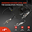 APOS1788 4 Pcs Upstream & Downstream O2 Oxygen Sensor