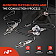 APOS1789 4 Pcs Upstream & Downstream O2 Oxygen Sensor