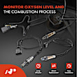 APOS1798 4 Pcs Upstream & Downstream O2 Oxygen Sensor