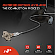 APOS1800 4 Pcs Upstream & Downstream O2 Oxygen Sensor