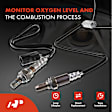 APOS1802 2 Pcs Upstream & Downstream O2 Oxygen Sensor