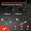 APOS1805 4 Pcs Upstream & Downstream O2 Oxygen Sensor