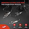 APOS1808 4 Pcs Upstream & Downstream O2 Oxygen Sensor