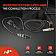 APOS1812 2 Pcs Upstream & Downstream O2 Oxygen Sensor
