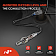 APOS1818 4 Pcs Upstream & Downstream O2 Oxygen Sensor