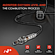 APOS1819 2 Pcs Downstream & Center O2 Oxygen Sensor