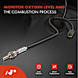 APOS1826 4 Pcs Upstream & Downstream O2 Oxygen Sensor