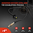 APOS1834 Upstream O2 Oxygen Sensor
