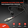 APOS1840 Front Left or Right O2 Oxygen Sensor