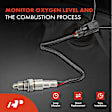 APOS1841 O2 Oxygen Sensor