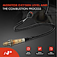 APOS1851 Rear O2 Oxygen Sensor