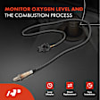 APOS1852 O2 Oxygen Sensor