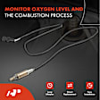 APOS1854 Upstream O2 Oxygen Sensor