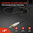 APOS1855 O2 Oxygen Sensor